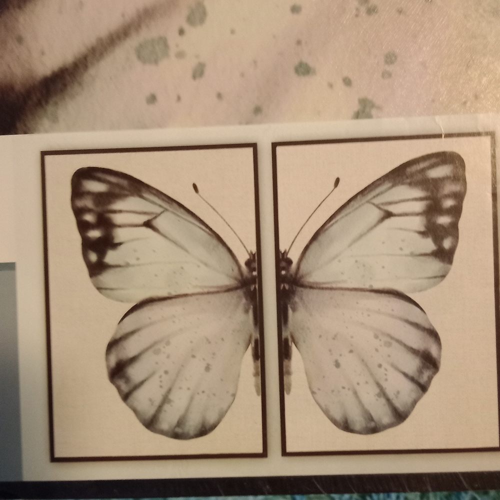 Framed Butterfly Wall Art